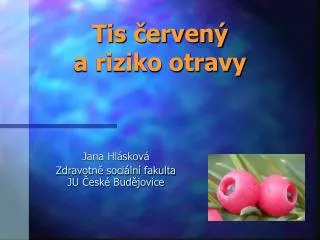 tis erven a riziko otravy