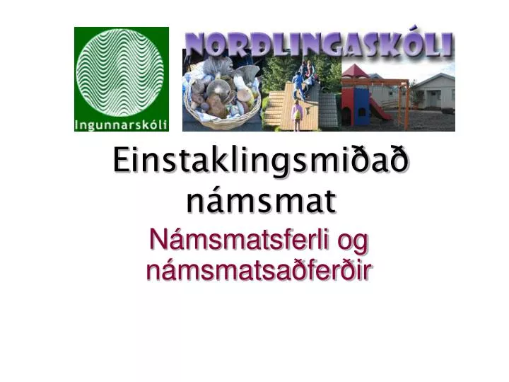 einstaklingsmi a n msmat