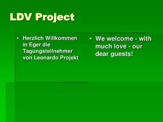LDV Project