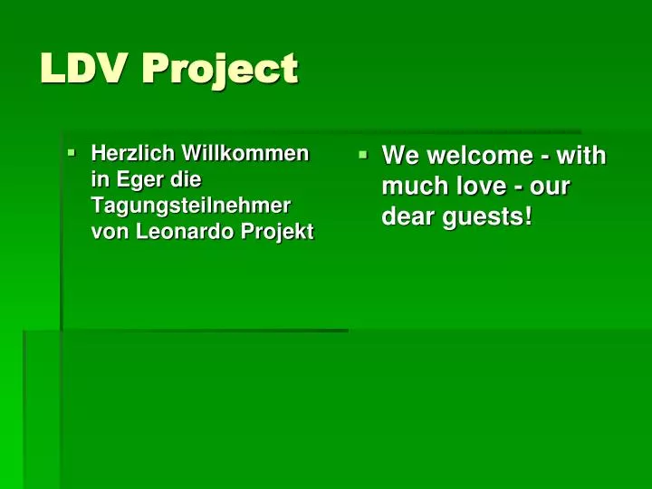 ldv project