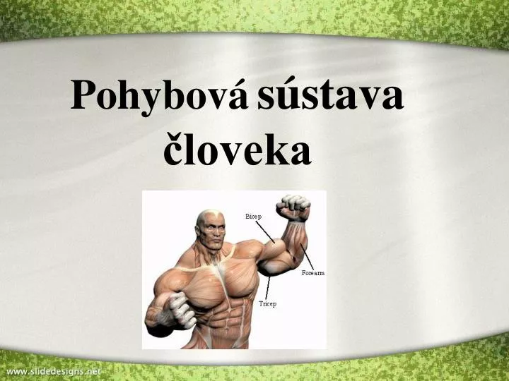 pohybov s stava loveka