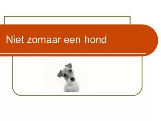 niet zomaar een hond