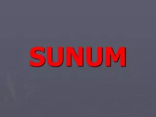 sunum