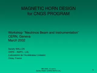 MAGNETIC HORN DESIGN for CNGS PROGRAM