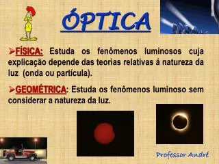 ptica