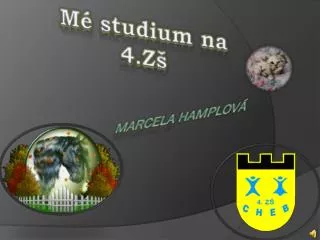 marcela hamplov