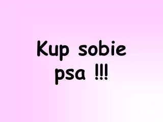 kup sobie psa
