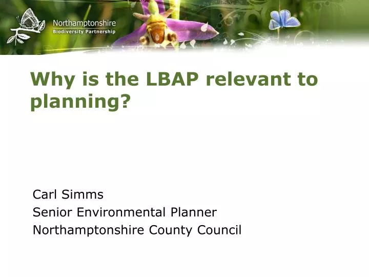why is the lbap relevant to planning