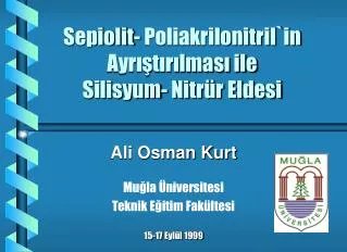 Sepiolit- Poliakrilonitril`in Ayrıştırılması ile Silisyum- Nitrür Eldesi