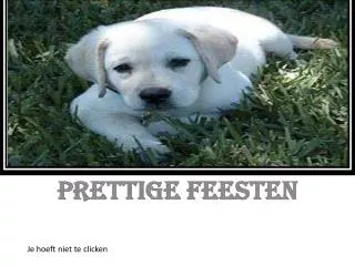 prettige feesten