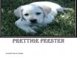 Prettige feesten - slide 1