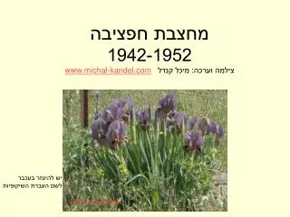 1942 1952 www michal kandel com