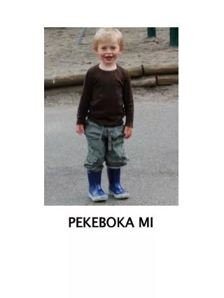 pekeboka mi