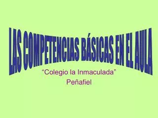 colegio la inmaculada pe afiel