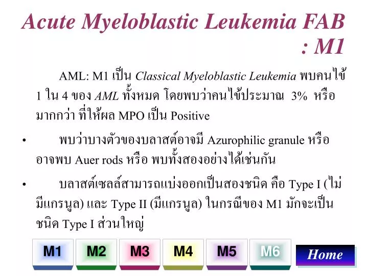 acute myeloblastic leukemia fab m1