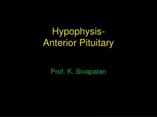 Hypophysis- Anterior Pituitary