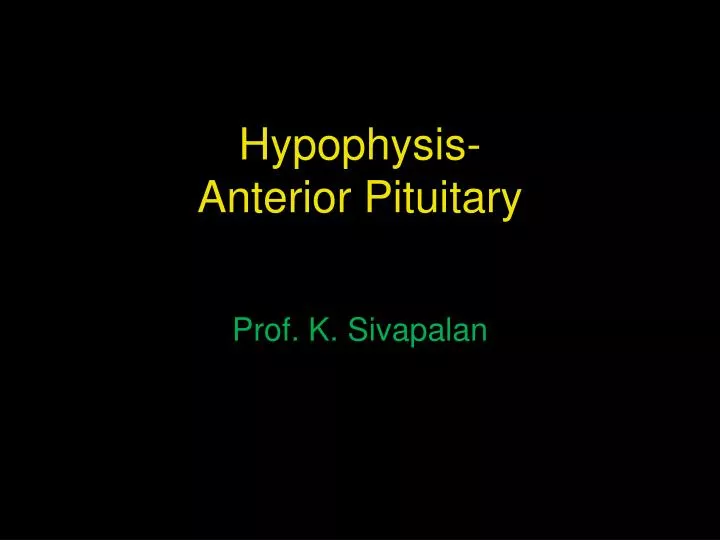hypophysis anterior pituitary