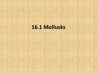 16.1 Mollusks