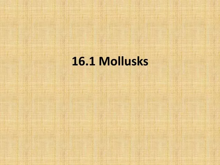 16 1 mollusks