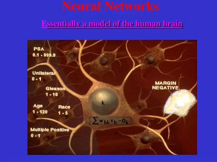 neural networks e ssentially a model of the human brain