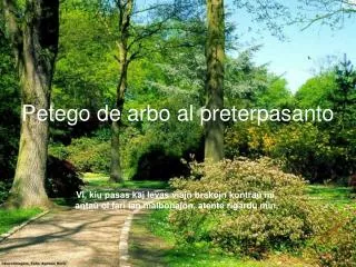 petego de arbo al preterpasanto