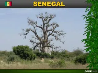 senegal