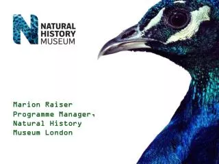 Marion Raiser Programme Manager, Natural History Museum London