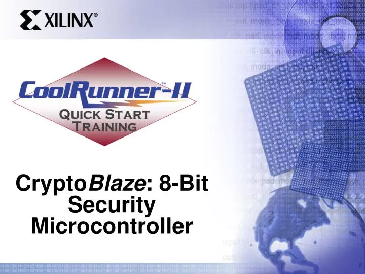 crypto blaze 8 bit security microcontroller
