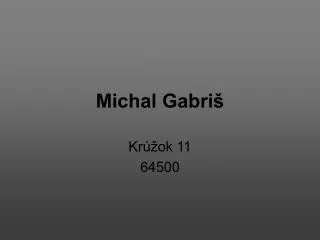 michal gabri