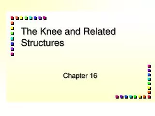 The Knee and Related Structures