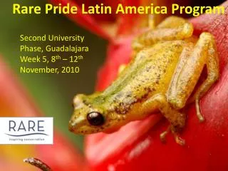 Rare Pride Latin America Program