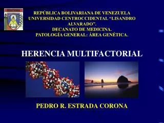 pedro r estrada corona