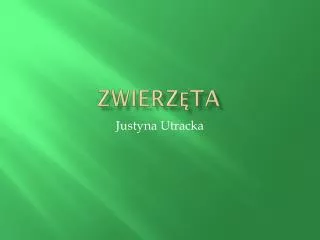 zwierz ta