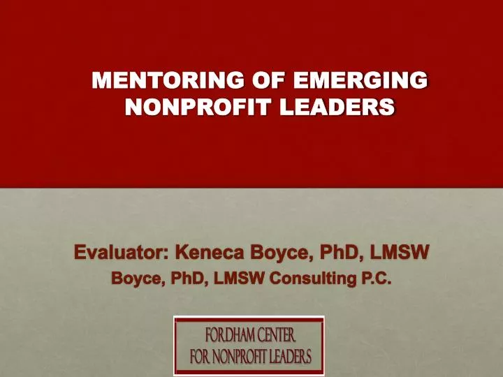 mentoring of emerging nonprofit leaders