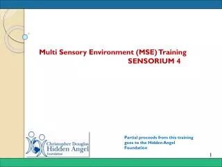 Multi Sensory Environment (MSE ) Training 			SENSORIUM 4
