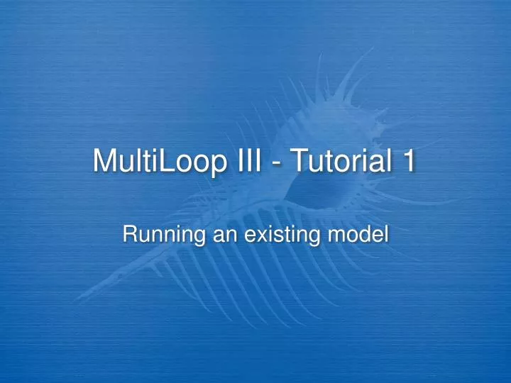 multiloop iii tutorial 1