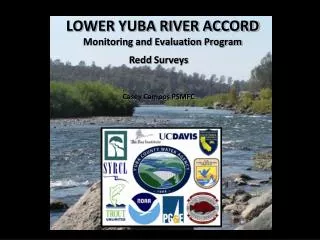 LOWER YUBA RIVER ACCORD Monitoring and Evaluation Program