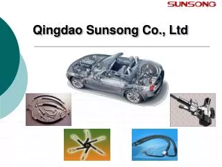 Qingdao Sunsong Co., Ltd