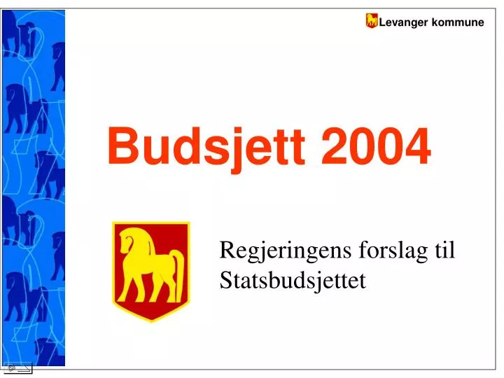 budsjett 2004