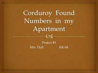 Corduroy Found Numbers in my Apartment
