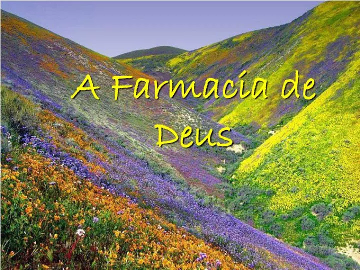 a farmacia de deus