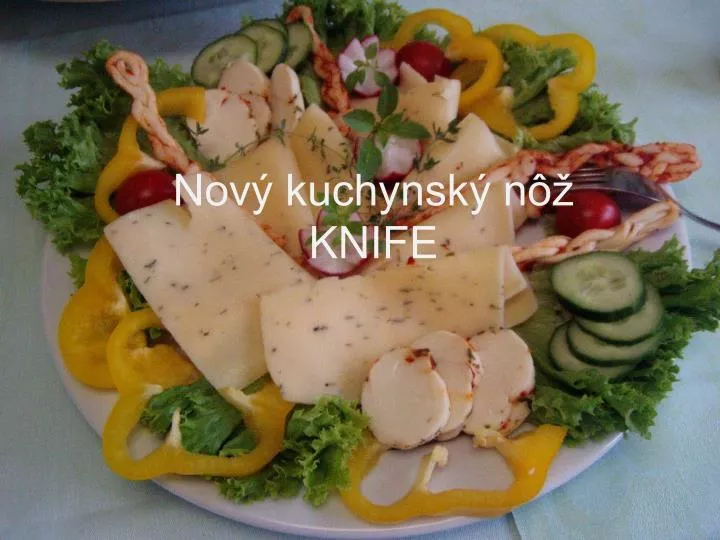 nov kuchynsk n knife
