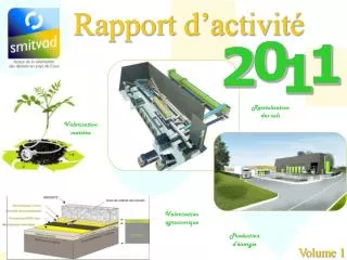rapport d activit