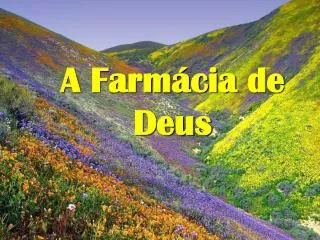 a farm cia de deus