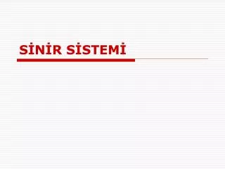 s n r s stem