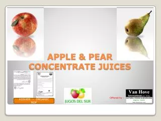 APPLE &amp; PEAR CONCENTRATE JUICES
