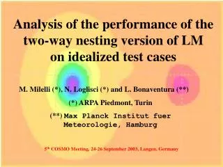 Analysis of the performance of the two-way nesting version of LM on idealized test cases