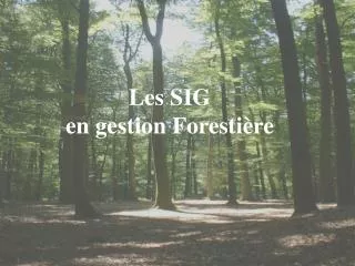 les sig en gestion foresti re