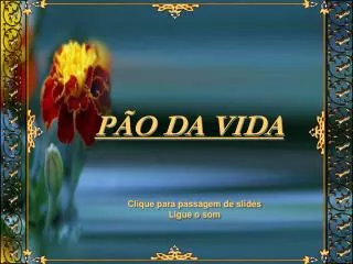 p o da vida