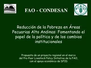 fao condesan